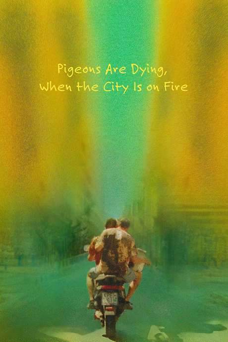 Pigeons Are Dying, When the City Is on Fire